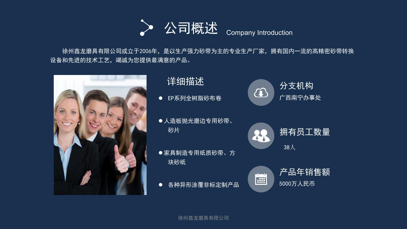 公司概述视觉图